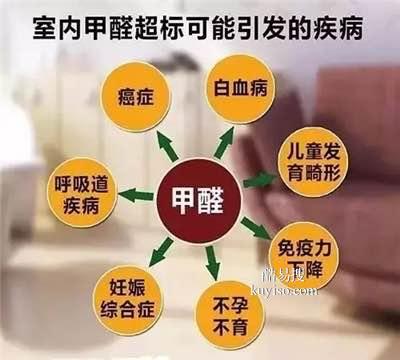 华人环境专业治理甲醛室内空气净化等项目