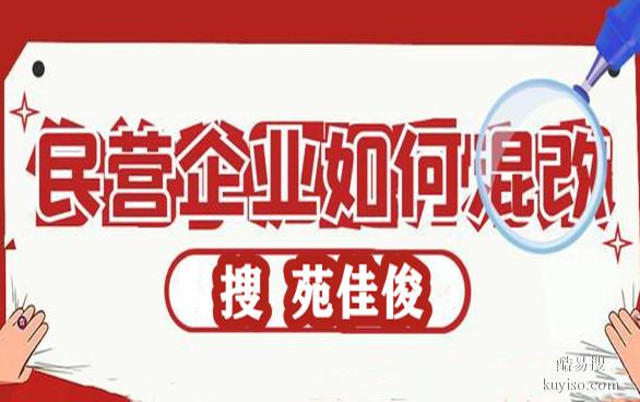 国有企业混改民营企业的优势条件流程