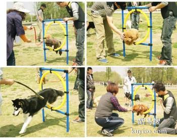 天津宁河宠物训练学校 工作犬行为训练 接送上门