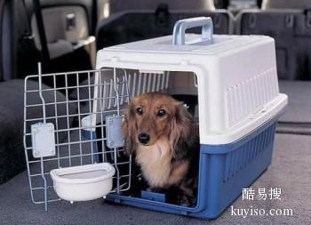 滁州全国宠物托运 免费接送专人护理
