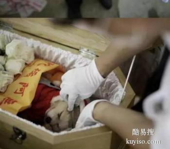 许昌春节正常工作的宠物火化公司,许昌宠物殡葬服务