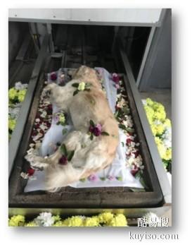 龙岩宠物火化 宠物服务 宠宝殡葬公司