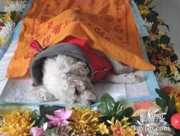 大庆陪宠宝走完后一段路 宠物骨灰抛洒 宠宝终点站电话