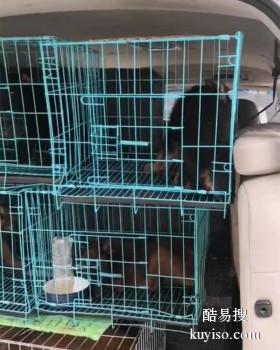 滁州活体宠物托运 行程投食加水 全程跟踪