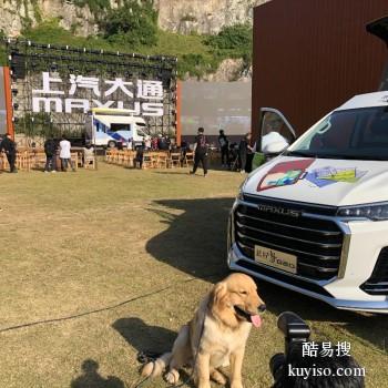 合法经营,合理安排 训犬找孙亮训犬 诚信保障 训犬上门训练