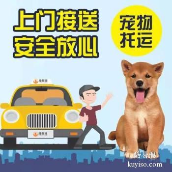 北京宠物宠物活体托运公司