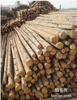沧州东光常年供应垫木 杉木杆 道木 植树杆批发电话