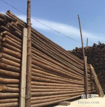 邯郸肥乡常年供应杨木杆 松木杆 松木桩 道木批发公司