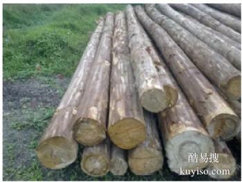 沧州孟村常年供应竹跳板 竹片 草炭土 缠树布批发厂家