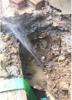 湘潭县室内外管道漏水检测维修 专业仪器精准定位漏水点