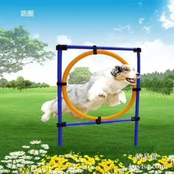 福州平潭上門訓(xùn)犬 訓(xùn)犬學(xué)校 歡迎致電詳詢