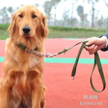 呼和浩特金山开发区上门纠正训犬 工作犬训练基地 诚信保障