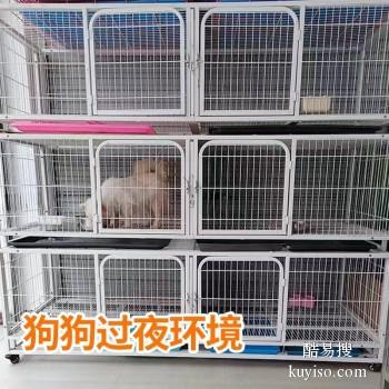 息县宠物托运 猫狗活体运输到全国