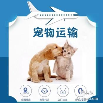 延津宠物托运 猫狗活体运输到全国