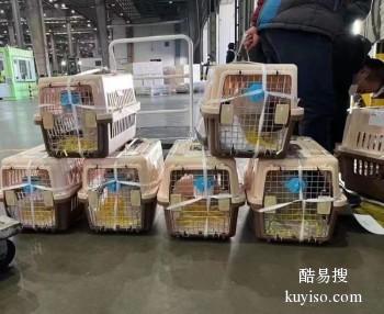滨州安全的宠物狗陆运空运公司 全国城市区域均可托运