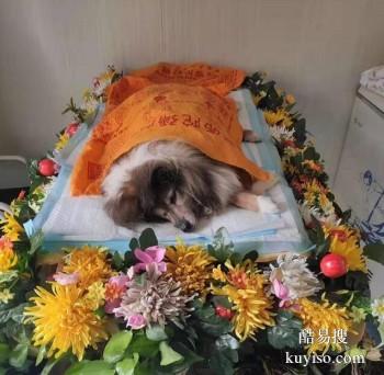漳州宠物火化 宠物服务 宠宝殡葬公司