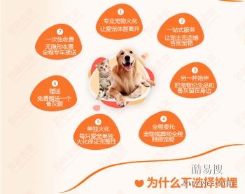 漳州本地宠物时光纪念机 宠物服务 宠物爱屋公司