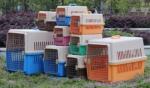 威海专业宠物托运 提供水粮 有氧环境