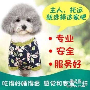 滁州机场恒翔宠物托运 宠物空运 代办手续 上门接送