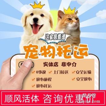 安庆市宠物托运 猫狗活体运输邮寄 上门接送