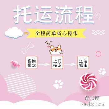 信阳淮滨宠物托运 猫狗活体运输邮寄 上门接送