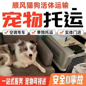 安阳滑县宠物托运 猫狗活体运输邮寄 上门接送