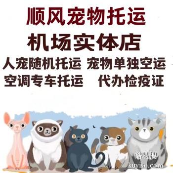 信阳固始专业猫狗托运 上门接送 宠物托运至全国
