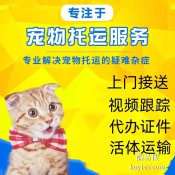 安阳安阳 宠物托运本地猫狗活体运输平台