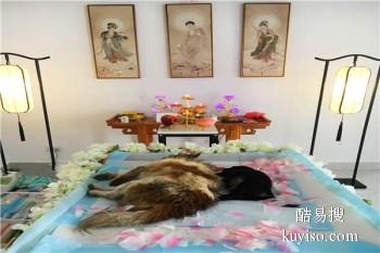 珠海宠物时光纪念机 宠物纪念馆 宠宝殡葬联系方式