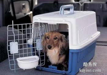 安庆专业宠物托公司空运火车专车宠物托运价格 合法经营 更懂客户