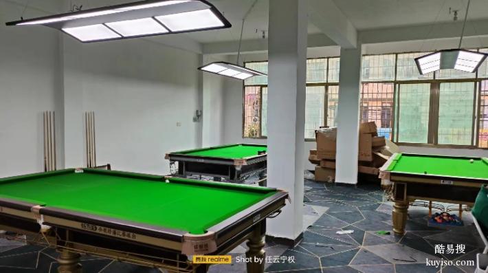 新宁县台球工厂桌球台黑八桌球台