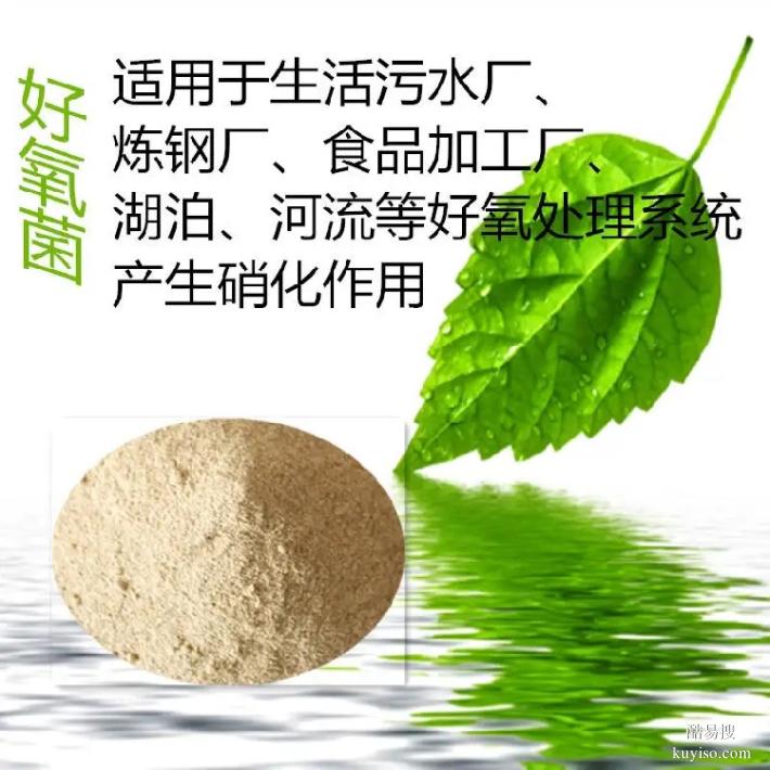 石家庄赵生物菌种制造商_来电咨询