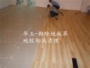 荔湾芳村办公室旧地毯拆除地面除胶，PVC地板革撕除黏胶清理