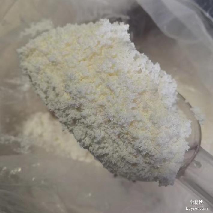 孔径较大D101延胡索生物碱净品级