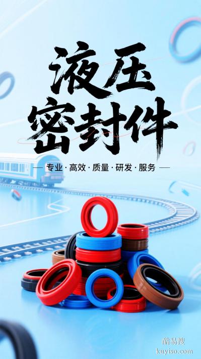铁路液压制动抗震动液压密封件定制