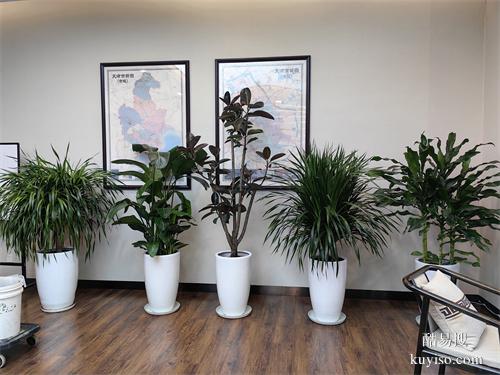 綠植租擺大型花卉租擺天津谷鑫亞泰綠植租賃公司常年綠植租賃服務