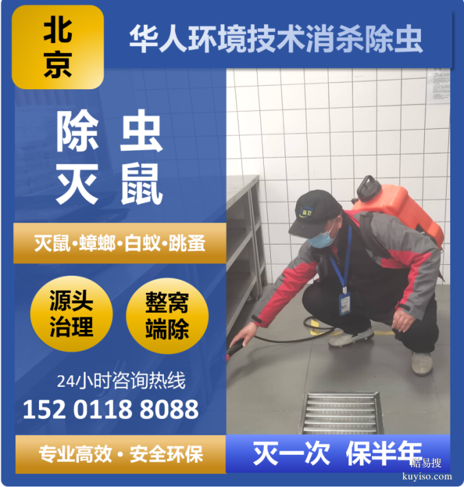 北京消杀除虫除鼠、石材养护翻新、地毯清洗服务