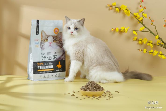 郑州扬帆视觉商业摄影食品美食菜品酒水饮品拍摄详情设计视频制作