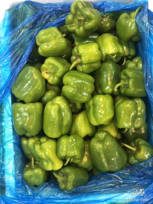 廈門同安蔬菜配送公司廈門生鮮蔬菜配送