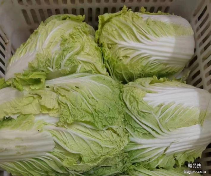 廈門蔬菜配送廈門蔬菜配送網(wǎng)廈門工廠蔬菜配送