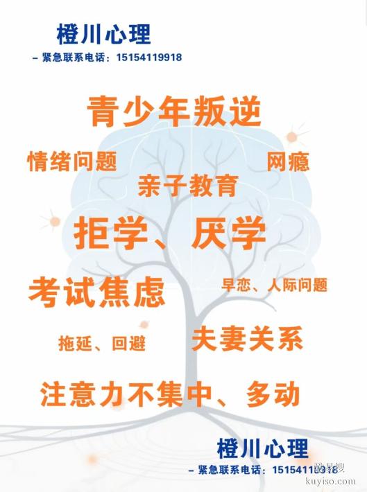 青少年拒學(xué)厭學(xué)咨詢