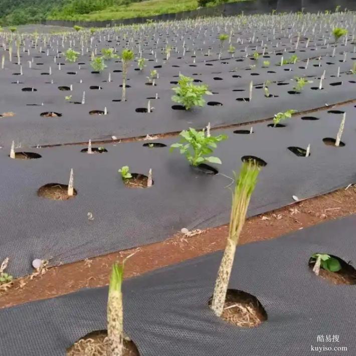云南防草布報價及圖片,防草布哪種材質(zhì)好果園農(nóng)業(yè)