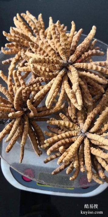 聊城回收名酒老酒禮品回收電話