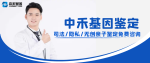 葛店區(qū)準(zhǔn)確率的個(gè)人親子鑒定中心大全（附2025中心地址大全）