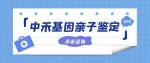 科爾沁左翼中旗無(wú)創(chuàng)親子鑒定多少錢做一個(gè)（附2025年價(jià)格詳解）