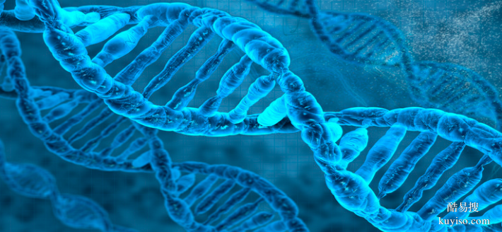 成都市親子鑒定中心地址大全-共10家(附2025鑒定地址大公開)