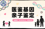 烏魯木齊12家司法落戶(hù)親子鑒定機(jī)構(gòu)一覽（附2025年匯總）