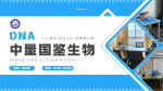 楊浦區(qū)合法5家親子鑒定中心地址一覽（附2025年鑒定匯總）