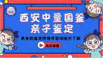 實(shí)用指南:西安灞橋區(qū)11家正規(guī)親子鑒定中心一覽(2025版)