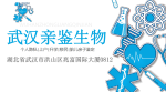 新！武漢市正規(guī)親子鑒定機(jī)構(gòu)一覽-共10家（附2025年收費(fèi)標(biāo)準(zhǔn)）